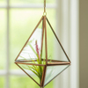 Glass Hanging Terrarium Copper Hexagonal
