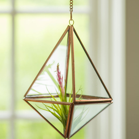 Glass Hanging Terrarium Copper Hexagonal