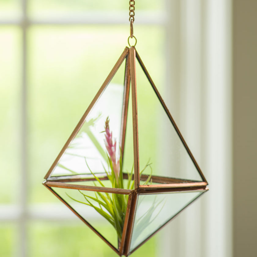 Glass Hanging Terrarium Copper Hexagonal