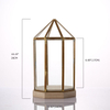 Glass Terrarium for decoration