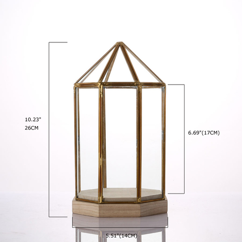 Glass Terrarium for decoration