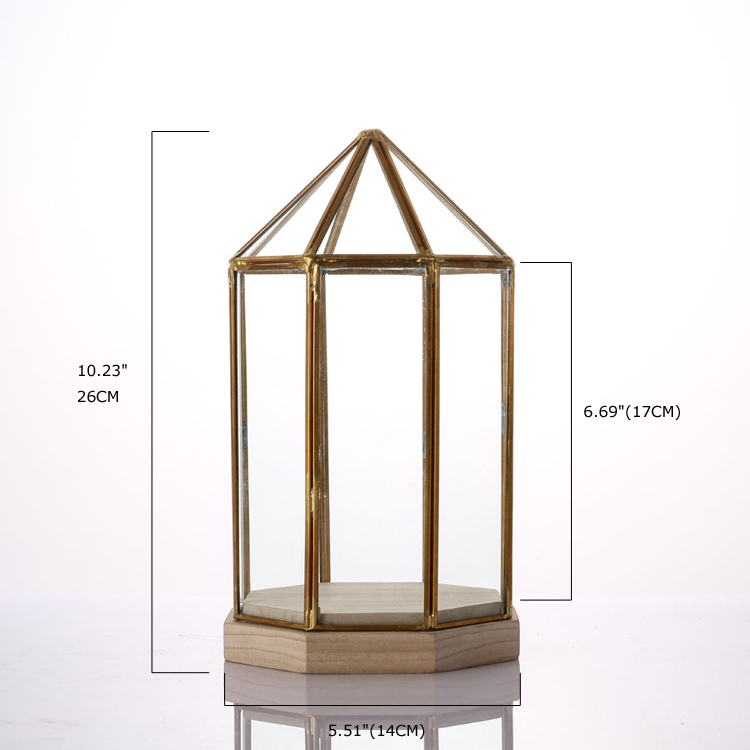 Glass Terrarium for decoration