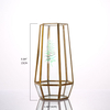 Glass Terrarium for decoration