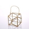 Glass Terrarium 