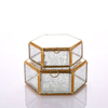 Glass Terrarium