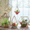 Glass Hanging Terrarium Copper Hexagonal