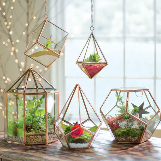 Glass Hanging Terrarium Copper Hexagonal