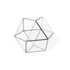 Angular glass terrarium--copper 8"