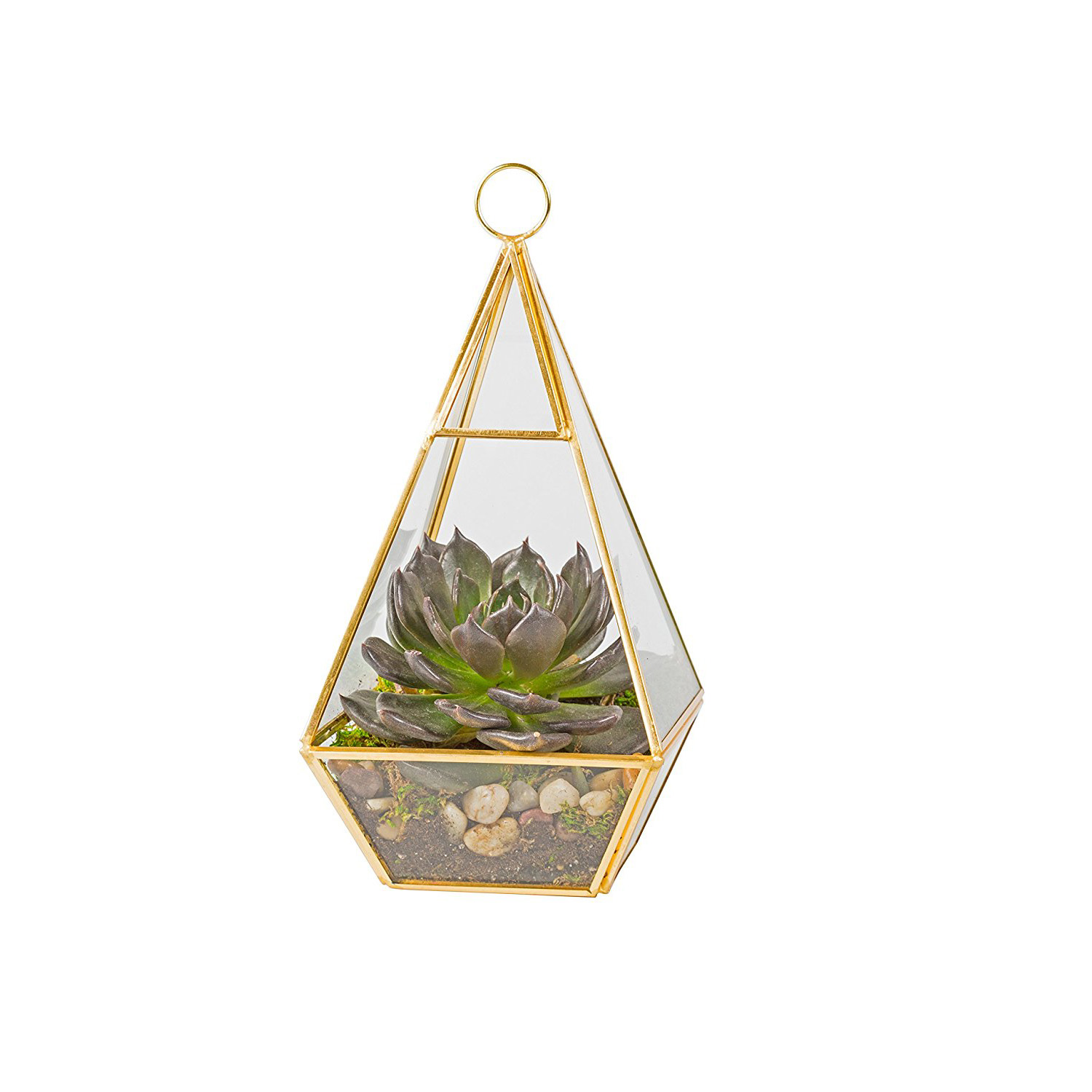 Glass terrarium copper 
