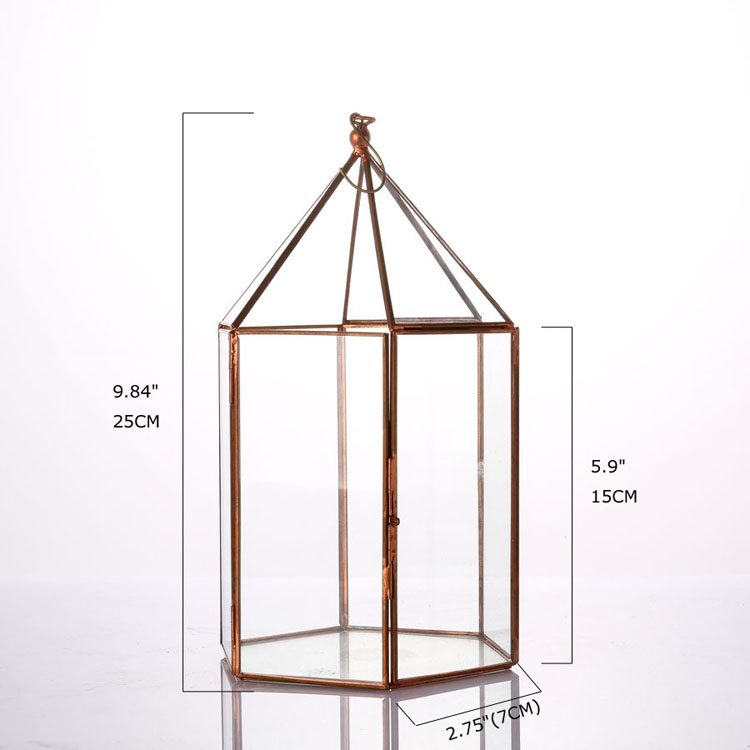 Glass Terrarium 
