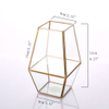Glass Terrarium 