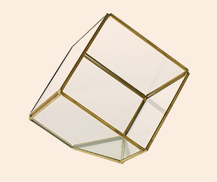 Glass-Terrarium