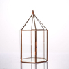 Glass Terrarium 