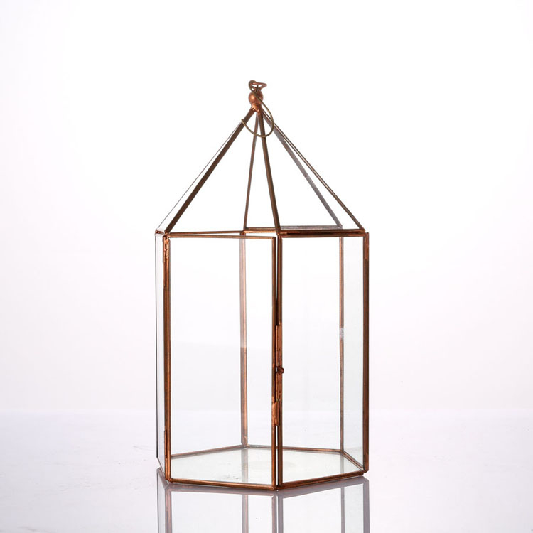 Glass Terrarium 