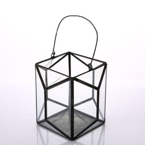 Glass Terrarium for decoration