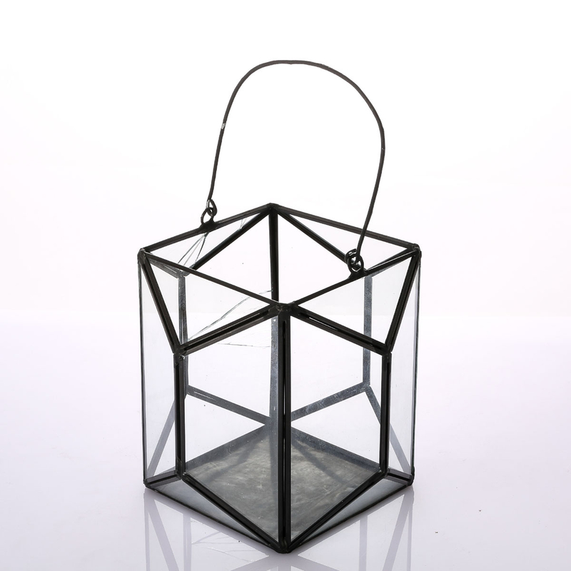 Glass Terrarium for decoration