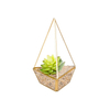 Glass terrarium copper H8.3" Triangle base
