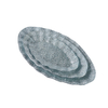 Silver glass plate