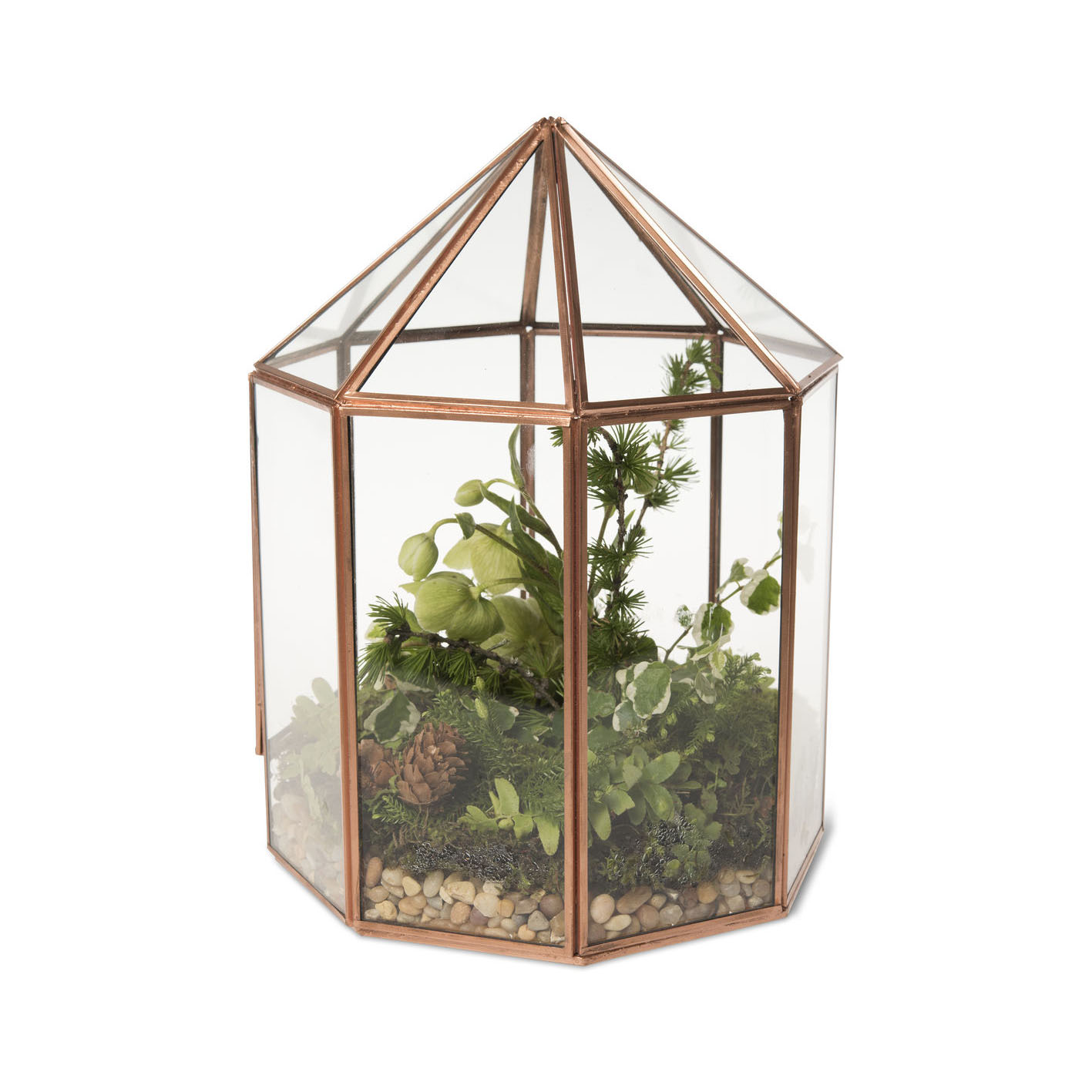 Glass terrarium copper 