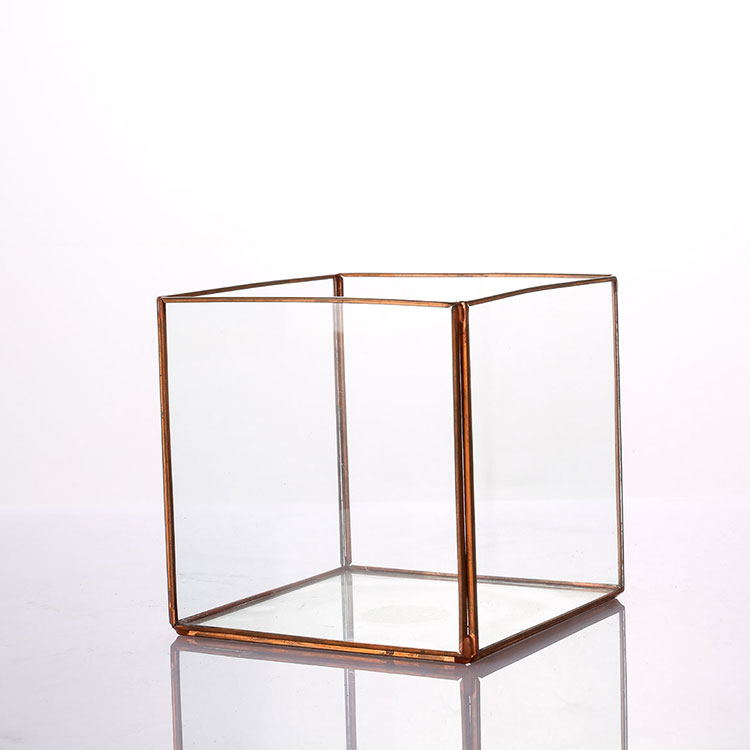 Glass Terrarium