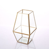 Glass Terrarium 
