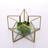 Glass Terrarium for decoration