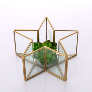 Glass Terrarium for decoration