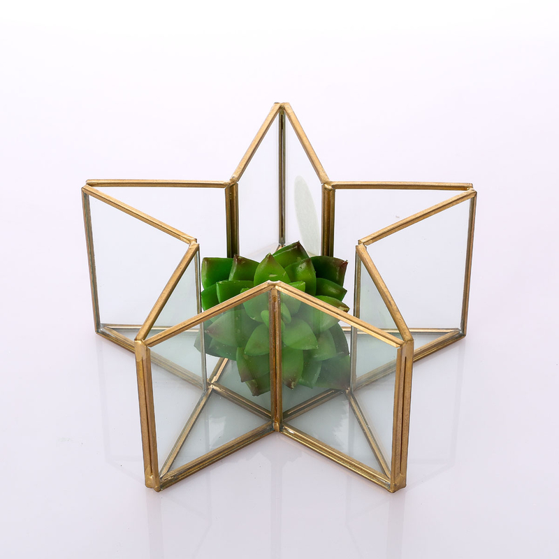 Glass Terrarium for decoration