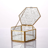 Glass Terrarium for decoration
