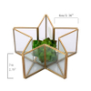 Glass Terrarium for decoration