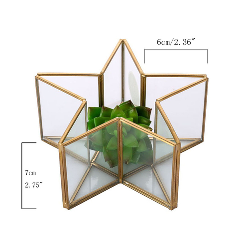Glass Terrarium for decoration