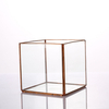 Glass Terrarium for decoration