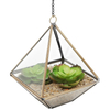 Hanging glass terrarium copper 4
