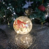 Crackle Globe with LED