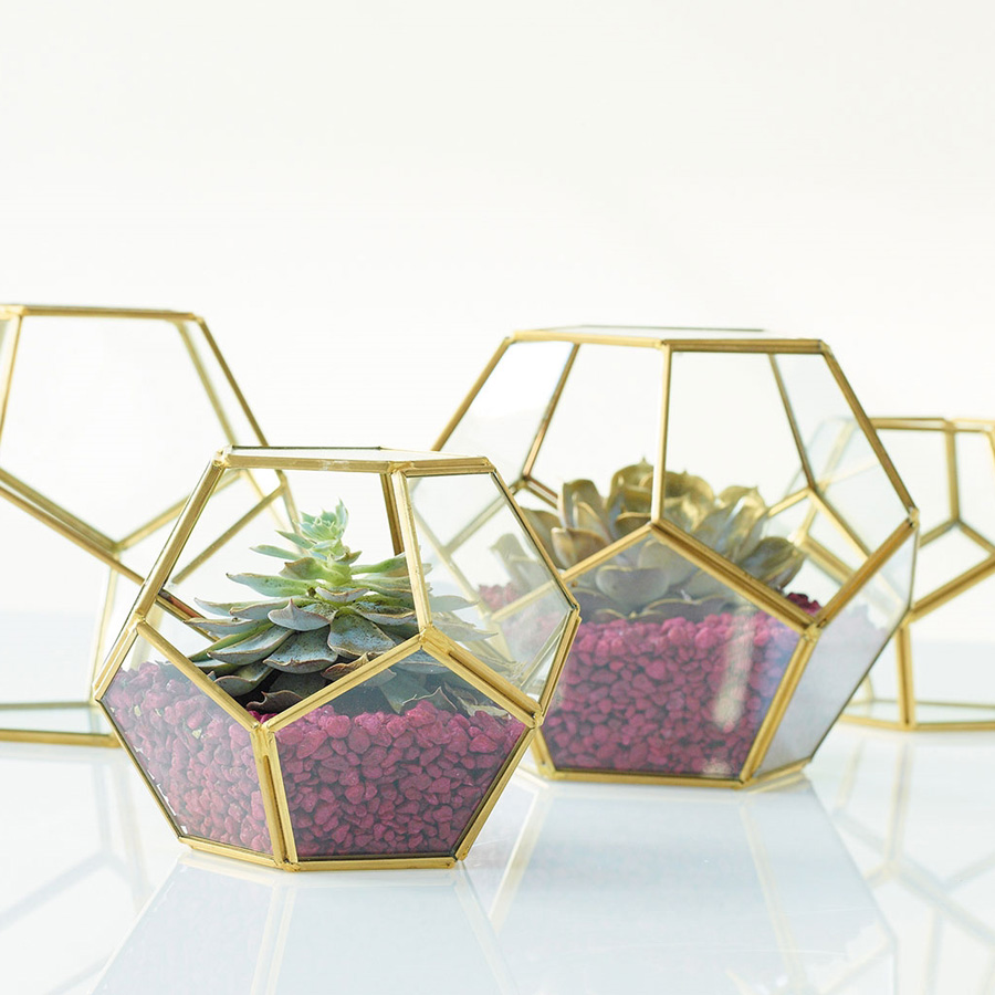 Glass Terrarium 