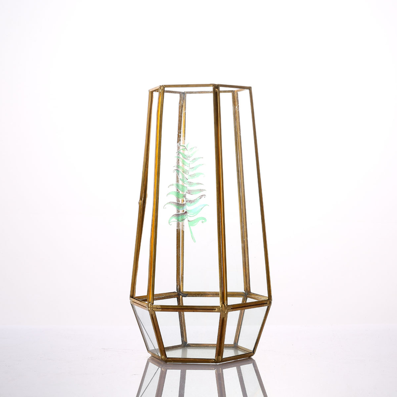 Glass Terrarium for decoration
