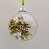  Glass ball Ornaments Decoration for Party Glass Hanging Ball