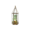 Glass Terrarium
