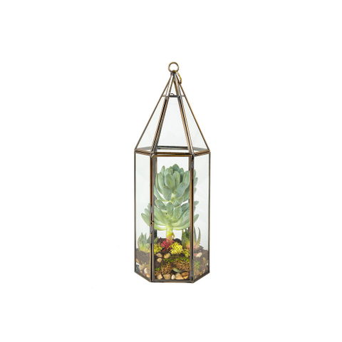 Glass Terrarium
