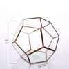 Glass Terrarium for decoration