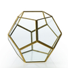 Glass Terrarium 