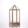 Glass Terrarium for decoration