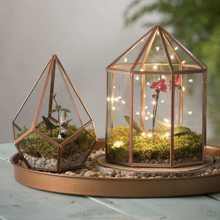Glass terrarium copper 