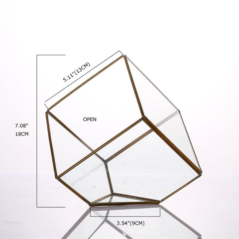 Glass Terrarium for decoration