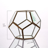 Glass Terrarium for decoration