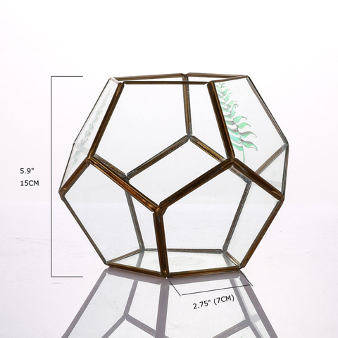Glass Terrarium for decoration