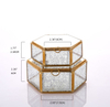 Glass Terrarium