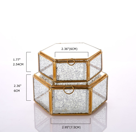 Glass Terrarium