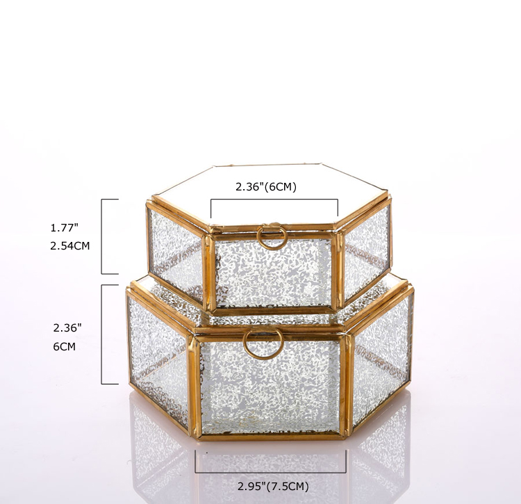 Glass Terrarium