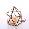 Glass Terrarium